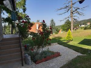 a house with a garden with red flowers and a staircase at Sojka in Divčibare +5 photos