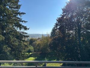 a view of a forest with trees and a fence at La parenthèse in Clairvaux-les-Lacs +5 photos