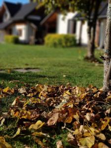 Gallery image of Chaty Gajowego w Bieszczadach in Bukowiec