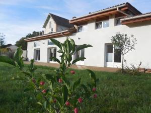 a white house with a plant in the yard at L'Eco-logis du Clos Des Tilleuls in Molieres-Glaudaz