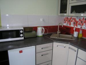 
Kuchnia lub aneks kuchenny w obiekcie Apartament Zielony Kolobrzeg
