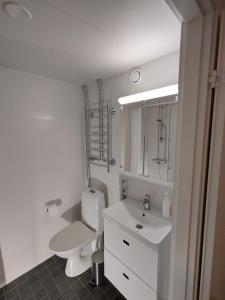 Koupelna v ubytování Asuntos-3