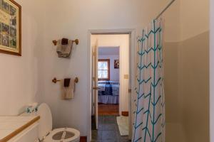 a bathroom with a shower and a toilet in it at New River Retreat in Boone +22 photos