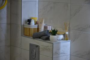 a bathroom with a shelf on the wall at Countryside rest house in Novi Banovci +21 photos