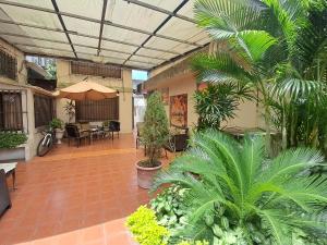 a courtyard with plants and an umbrella in a building at Acogedora suite privada en Urdesa, Guayaquil in Guayaquil