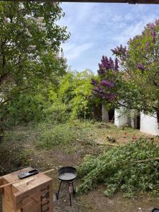 a garden with a chair and a table and trees at Traumhaft schöne Unterkunft am Elbe Radweg, See 
