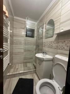 un baño con inodoro y lavabo en CASA RAUL, en Poiana Mărului