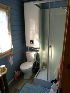 ein Badezimmer mit Toilette und Glasdusche in der Unterkunft Chalet en lisiere de Foret in Lacanau