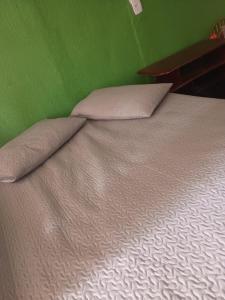 a bed with two pillows and a green wall at Casa Catarina in São Roque