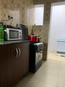 a kitchen with a microwave oven and a stove at Reagal Apartments, WMachine, WiFi, 13 mins DRV from Ikeja, OPIC ESTATE in Agege