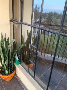 Fotografie z fotogalerie ubytování Bliss Apartment - ONE BEDROOM Milimani, Kitengela Town v destinaci Kitengela 