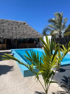 Bazén v ubytování Tribe Bungalows, Bwejuu, Zanzibar nebo v jeho okolí