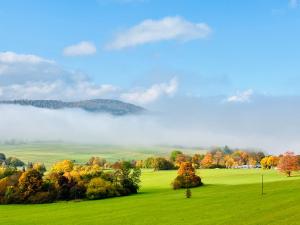 a green field with trees and fog in the background at Erlebnisbad Badkap in 5 Minuten! in Albstadt
