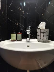 ein Waschbecken mit zwei Flaschen Seife drauf in der Unterkunft Königstraße Apartments in Nürnberg