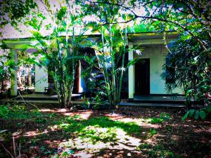 a house with two trees in front of it at Royal Galaxy Villa in Embilipitiya