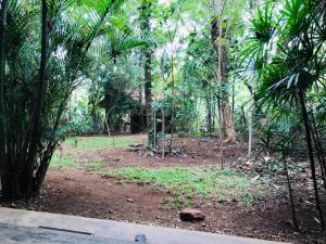 a park with a lot of trees and grass at Royal Galaxy Villa in Embilipitiya