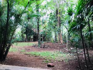 a forest with palm trees and a dirt field at Royal Galaxy Villa in Embilipitiya