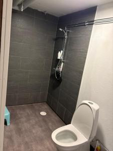 リンデスベリにあるKungsgatan lgh med egen ingång och parkeringのトイレとシャワー付きのバスルーム +1枚の写真