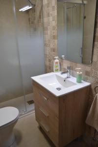 a bathroom with a sink and a toilet and a shower at Casa Flor de Almendro  +18 photos