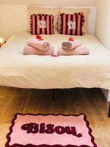 a bedroom with a bed with a pink rug on it at Le Cherry - Plein centre Rheu in Le Rheu