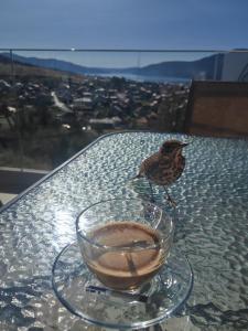 Gallery image of Вилно селище PARADISE VIEW in Sarnitsa