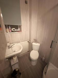 a small bathroom with a toilet and a sink at Wypoczynek Między Świerkami in Ustroń +10 photos