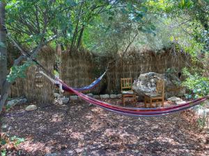 a hammock in the middle of a garden at צימר השקדיה in Ein Hod