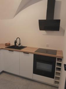 a kitchen with a counter with a sink and a stove at U Mariki 