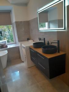 een badkamer met twee wastafels en een spiegel bij U Mariki  +20 foto's