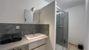 a bathroom with a sink and a shower at logis des abeilles sejour-tricastin in Pierrelatte +19 photos
