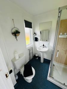 a bathroom with a shower and a toilet and a sink at Tigh Na Mara in Dunoon +21 photos