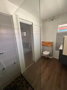 a bathroom with a shower and a toilet at Ti Belcourt in Baie-Mahault