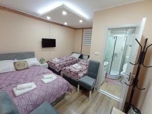 a hotel room with two beds and a television at Apartments & Rooms -MDL Lazić in Belgrade
