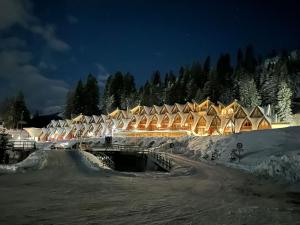 a group of houses in the snow at night at Chalet Golf Campiglio / LuxApt / fronte piste-impianti-golf in Madonna di Campiglio
