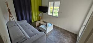 a living room with a couch and a tv at Appartement Aubres in Aubres