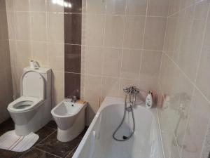 a bathroom with a toilet and a tub and a sink at Casa do castelo in Penamacor
