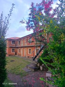 a building with a tree with flowers in front of it at Titicaca Lodge Amantani in Amantani
