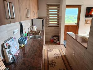 a kitchen with a sink and a counter top at Apartmani Vila Alpe in Travnik +106 photos
