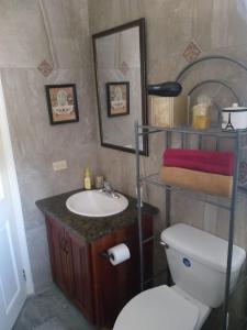 a bathroom with a toilet and a sink and a mirror at Hideaway Cozy Place 1 in Bantam Spring