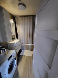 a small bathroom with a washing machine and a sink at Venez au cœur de la route des vins et des marchés de Noël in Beblenheim