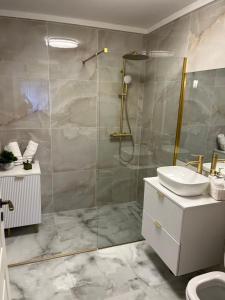 a bathroom with a shower and a sink and a toilet at Apartament Iulius Mall Cluj in Cluj-Napoca