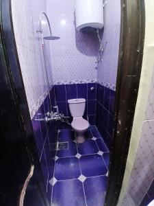 Baño de azulejos azules con aseo en Hamada guest house, en Asuán