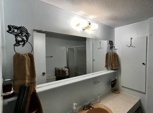 a bathroom with a sink and a mirror at Angler's Dream Stay! in Hemphill
