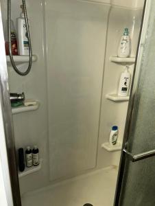 a bathroom with a shower with shelves in it at Angler's Dream Stay! in Hemphill
