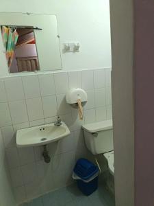 a bathroom with a sink and a toilet and a mirror at Hotel Efata in Apartadó
