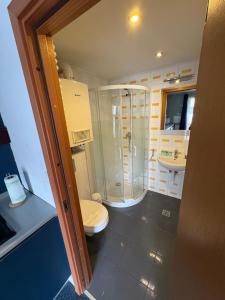 a bathroom with a toilet and a shower and a sink at Villa Gold Poznań in Poznań
