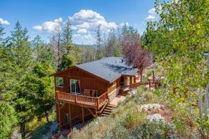 Příroda nedaleko chaty + 32 fotografií