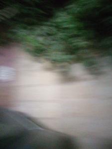 a blurry photo of a car with trees in the background at Ali in Cairo