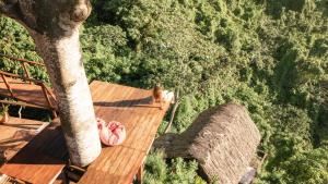 Φωτογραφία από το άλμπουμ του Paraiso Ahimsa σε Buritaca +82 φωτογραφίες