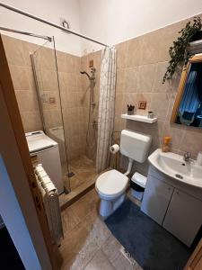 a bathroom with a toilet and a shower and a sink at Tobacco Sforii Residence in Braşov +12 photos